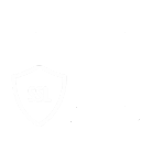 SSL Secure Laser EvoPro